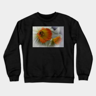 Daffodil Flower Crewneck Sweatshirt